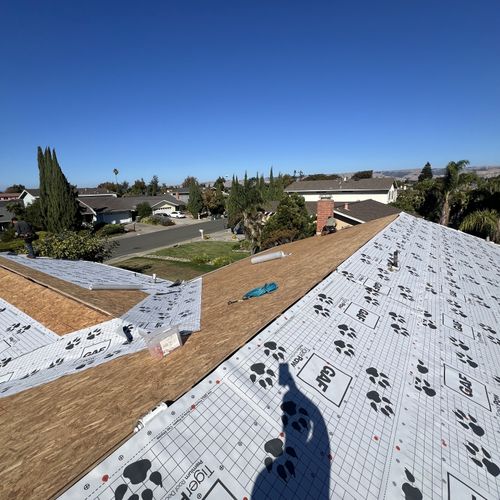 Roof Installation or Replacement