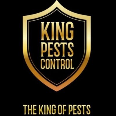 Avatar for King Pests Control