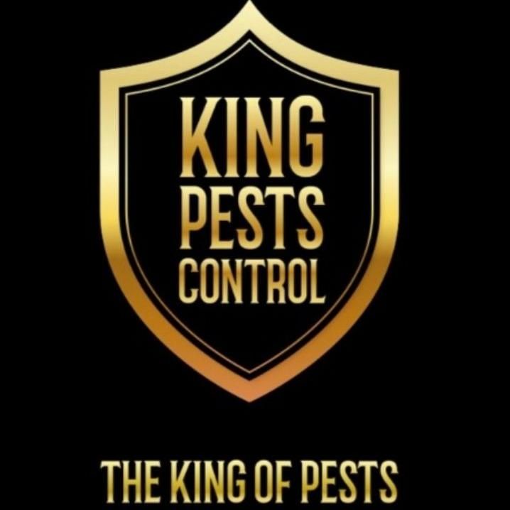 King Pests Control