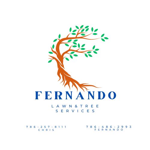 Fernando Lawn Service