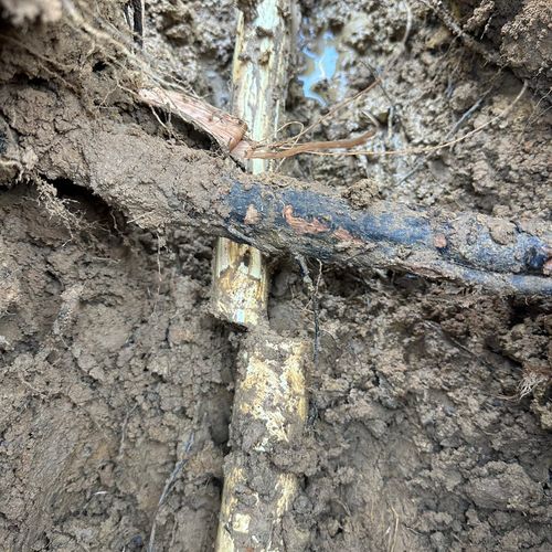 That root got to that water line !