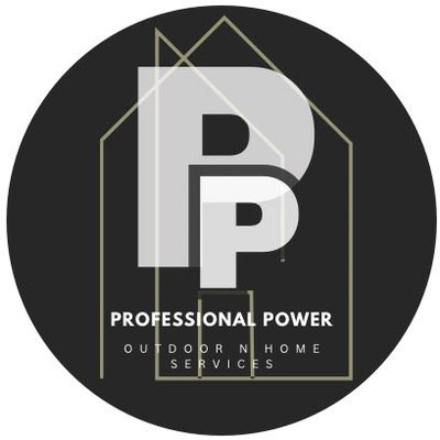 Avatar for Professional Power