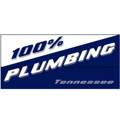 Avatar for 100 Percent Plumbing