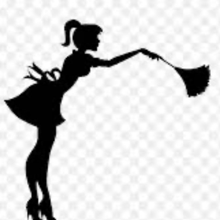 Girls Next Door Cleaning Services