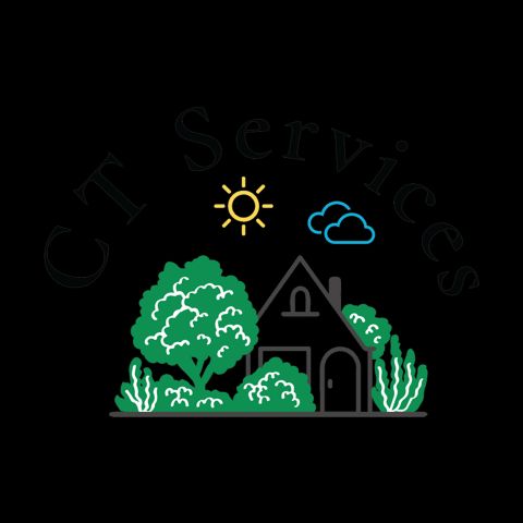 C T service's