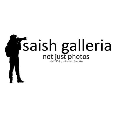 Avatar for SaishGalleria