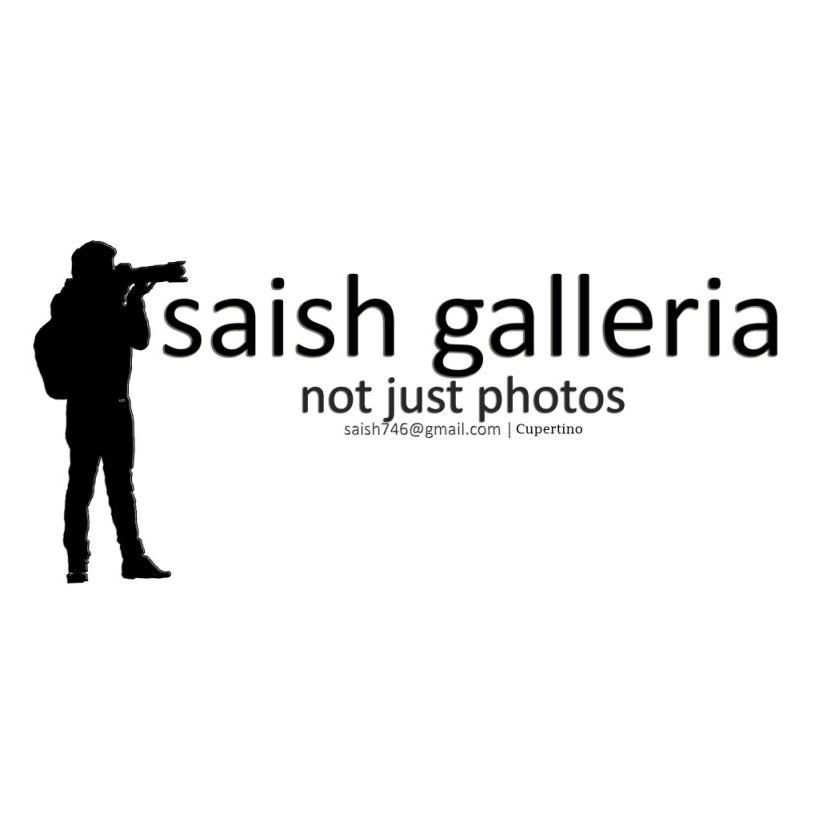 SaishGalleria