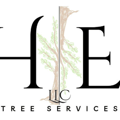 Avatar for Hernandez-Even Tree Service LLC