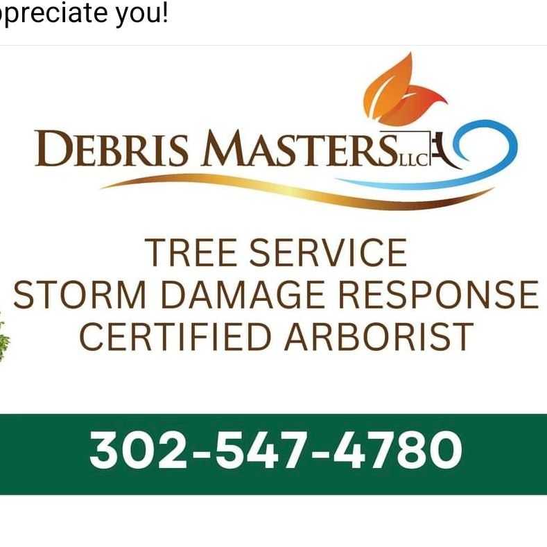 Debris Masters LLC