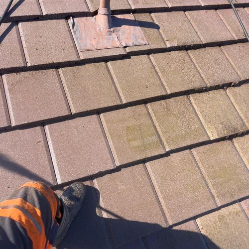 Roof Cleaning