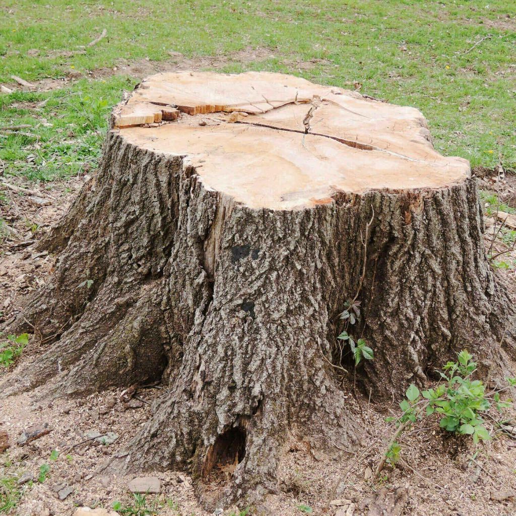 McGregor Landscapes and Stump Removal LLC