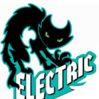 Avatar for BLACK CAT ELECTRICAL SERVICES