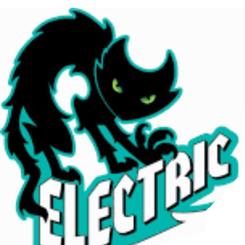 BLACK CAT ELECTRICAL SERVICES