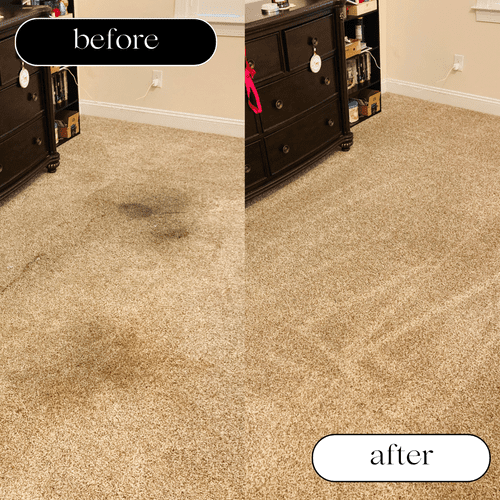 Carpet Cleaning