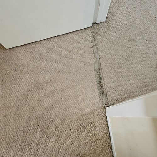 He repaired my carpet. It looks so good , I was tr