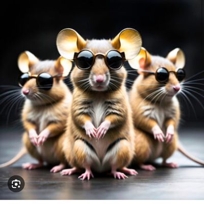 Avatar for 3 Blind Mice