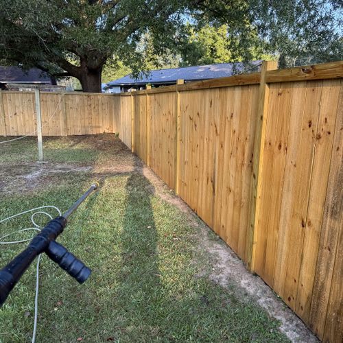 Fence Painting