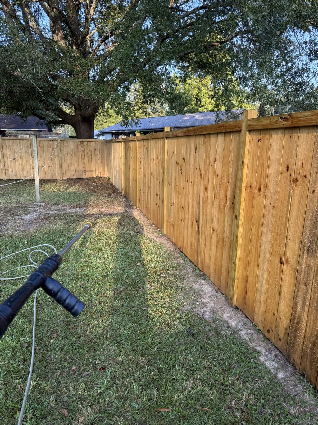 Fence Painting