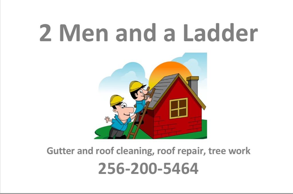 2 Men & a Ladder