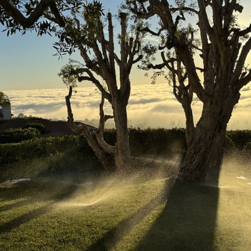 Sprinkler and Irrigation System Installation