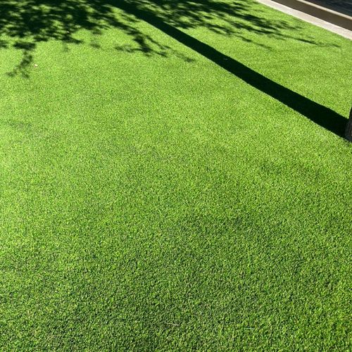 We had an incredible experience with IntoTurf! The