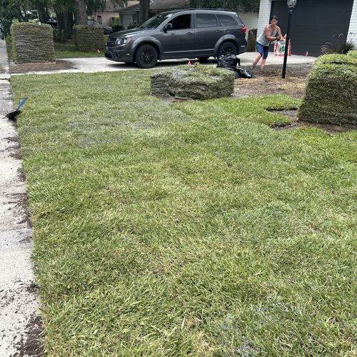 Sod Installation