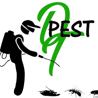 Avatar for Stomp Out Pest Control