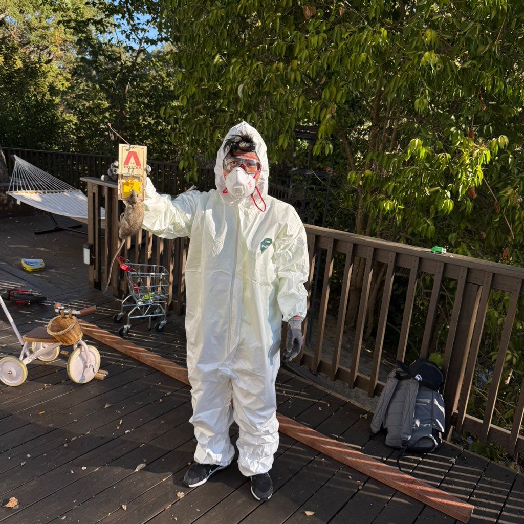 Attic & Crawlspace clean ups