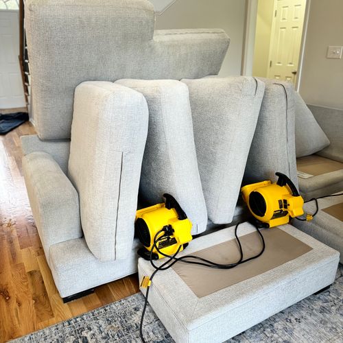 Upholstery and Furniture Cleaning