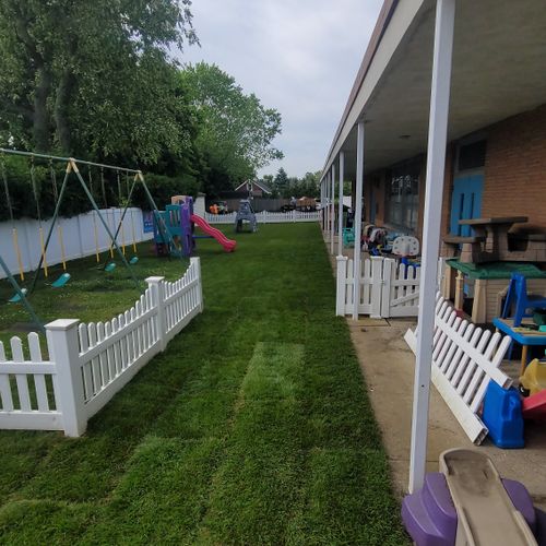 Sod Installation