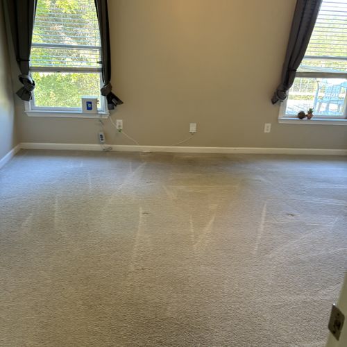 Carpet Cleaning