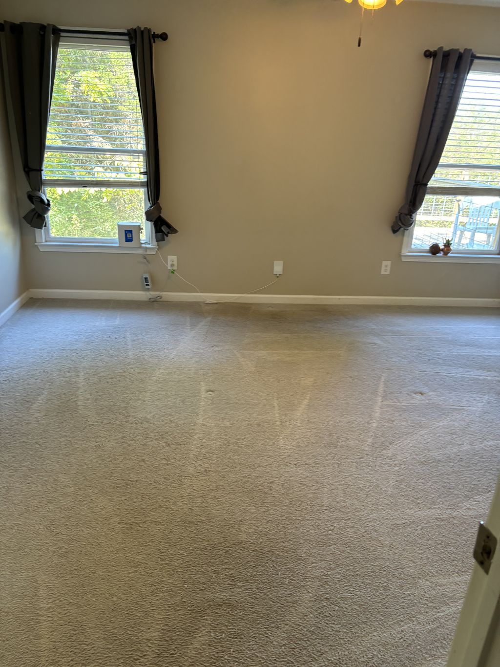 Carpet Cleaning