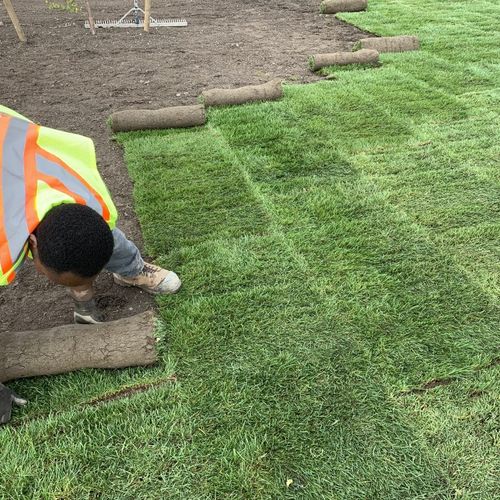 Sod Installation