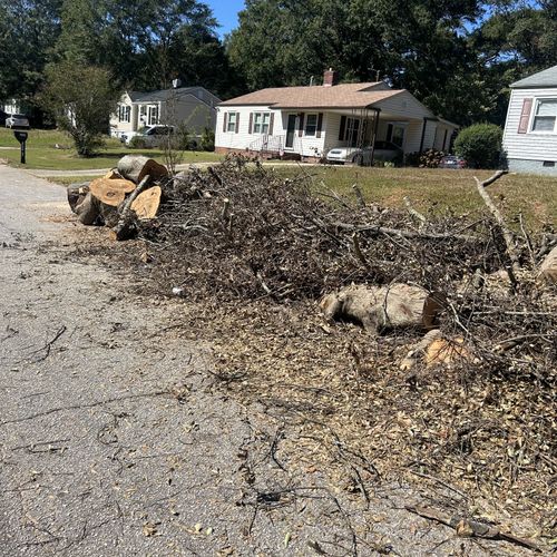 Tree Trimming and Removal