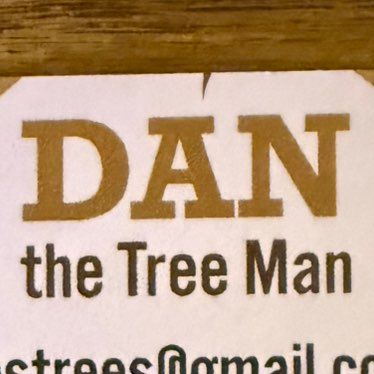 Dan the tree man