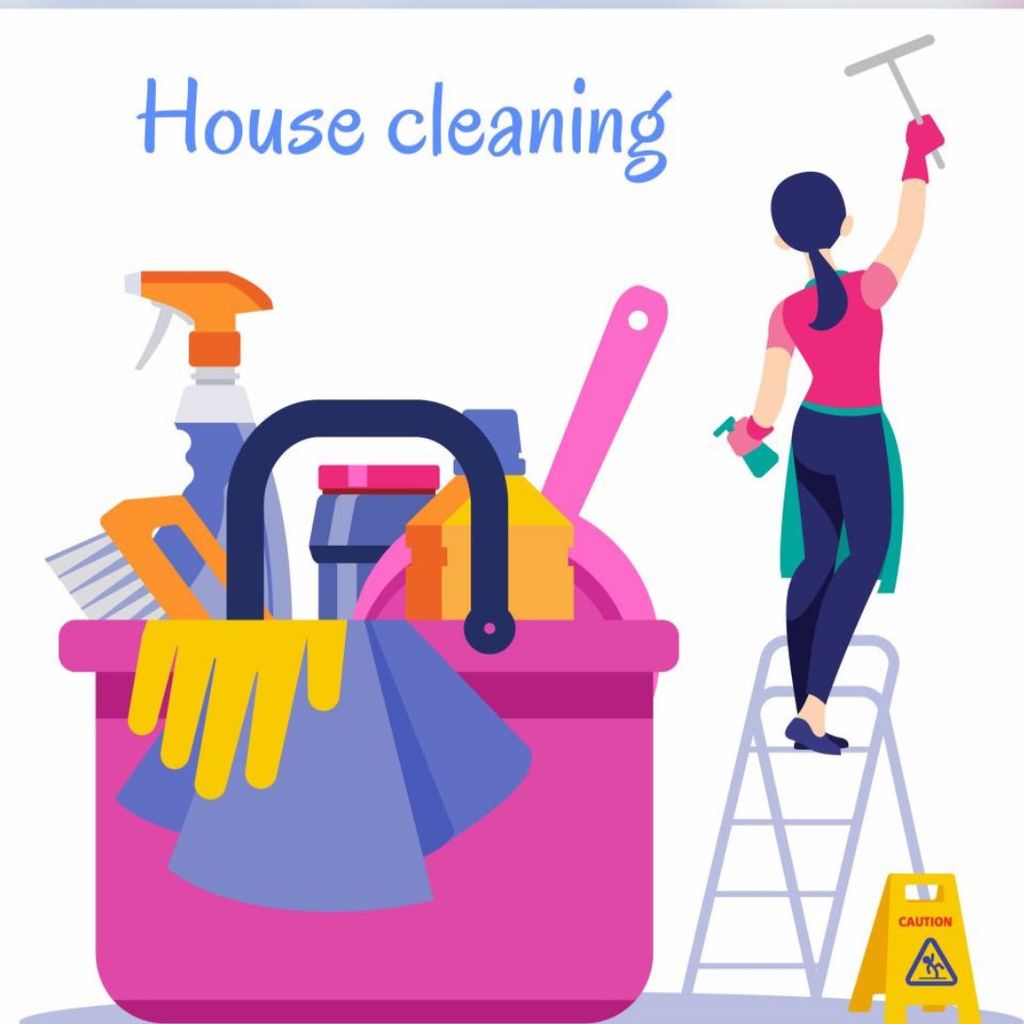 Delmi’s cleaning service