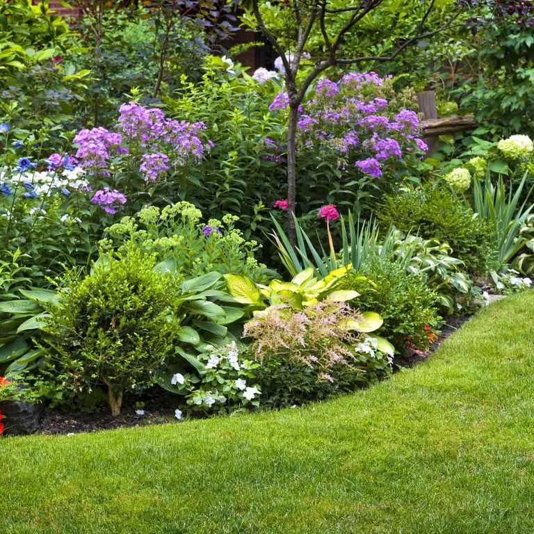 All American Landscape Services