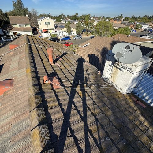 Roof Cleaning