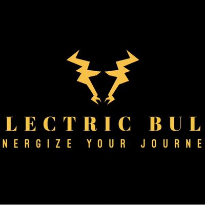 Avatar for Electric Bull LLC