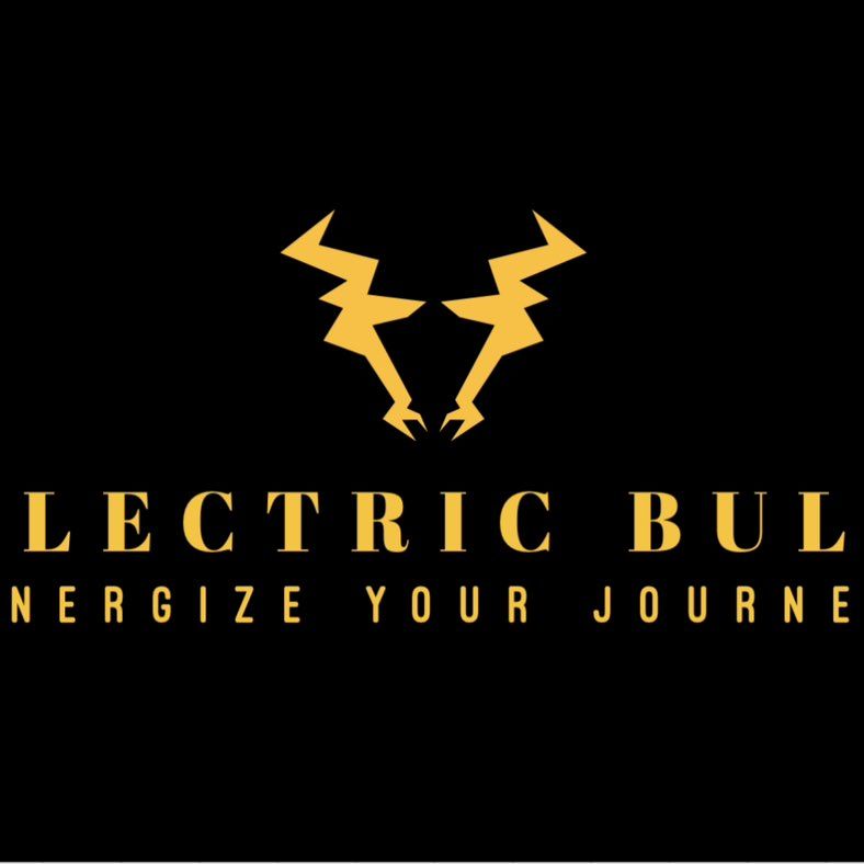 Electric Bull LLC