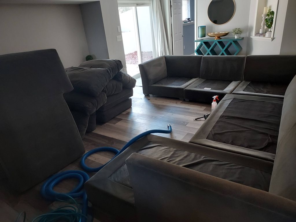 Upholstery Cleaning 