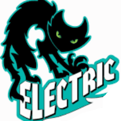 Avatar for BLACK CAT ELECTRICAL SERVICES