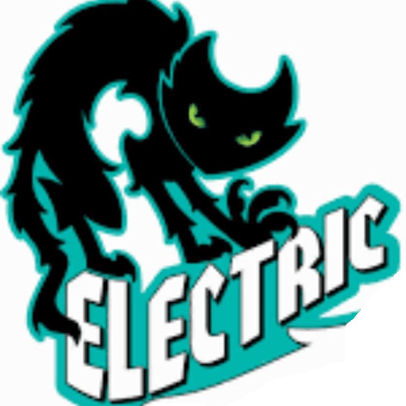 BLACK CAT ELECTRICAL SERVICES