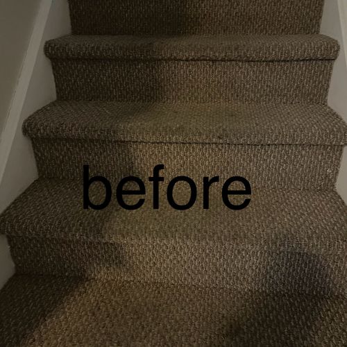 Carpet Cleaning