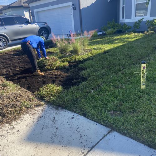 Sod Installation