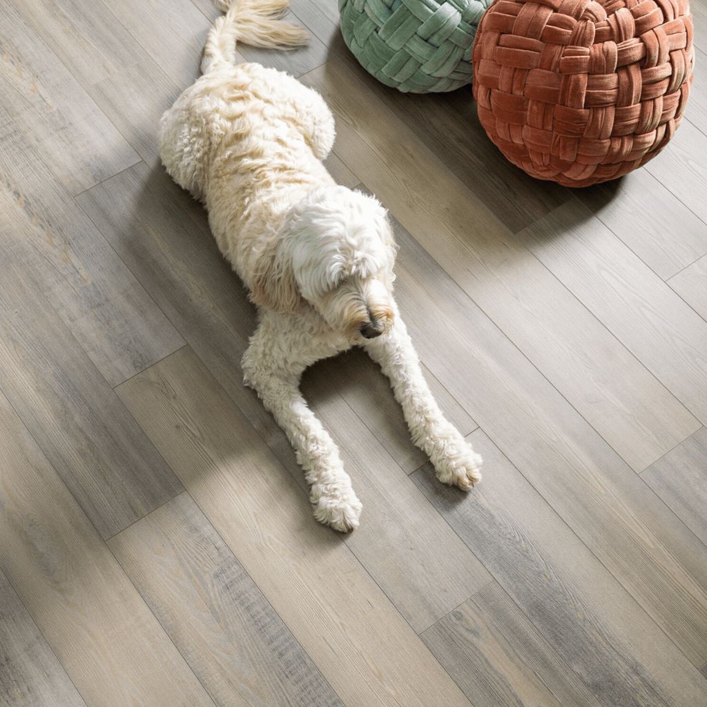 Floor Coverings International Metro Twin Cities