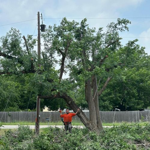 These workers are extremely careful.These electric