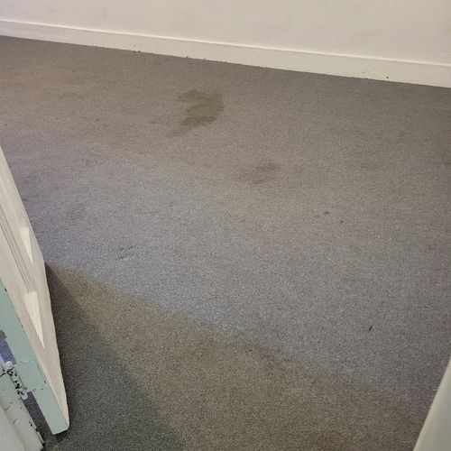 Carpet Cleaning