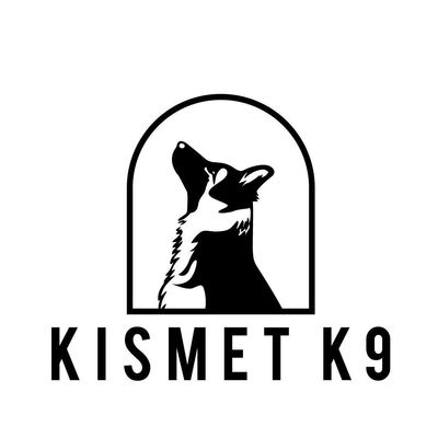 Avatar for Kismet K9 Services LLC