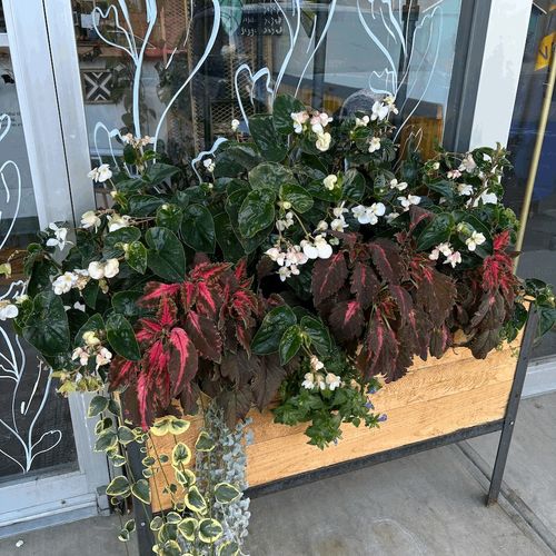 I ordered a garden box for my shop from SJ Manufac